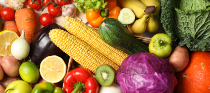 Lời hứa của nông nghiệp rau sạch bền vững: Con đường hướng tới nền nông nghiệp xanh